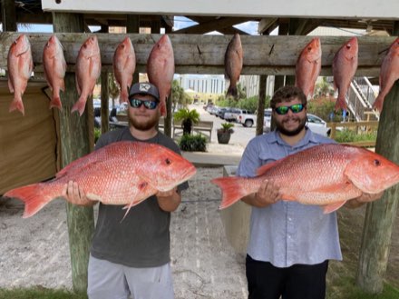 Wild Orange Charters catch photo