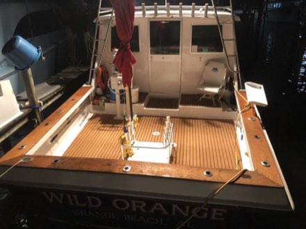 Wild Orange Charters catch photo